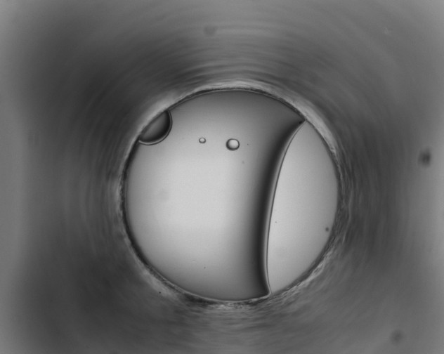 X0000103430805200809121035