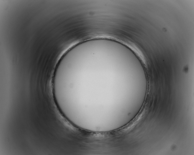 X0000103430806200809121035