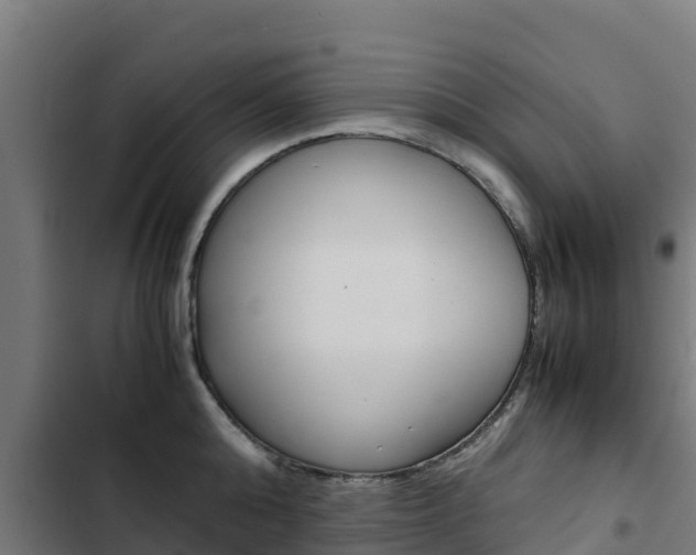 X0000103430808200809121035