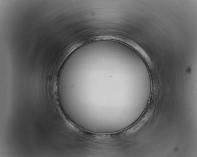 X0000103430809200809121035