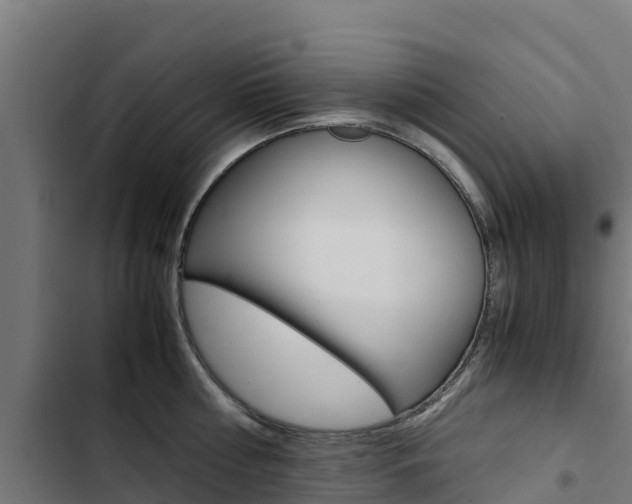 X0000103430810200809121035