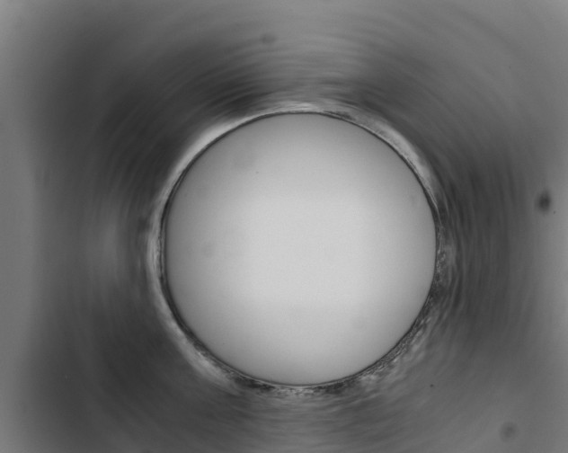 X0000103430811200809121035