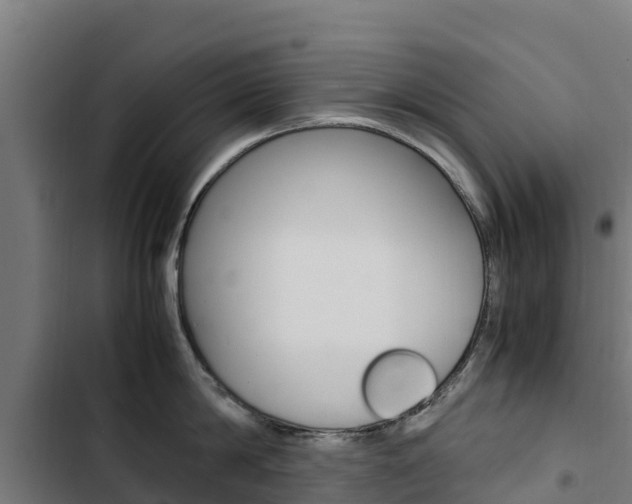 X0000103430814200809121035