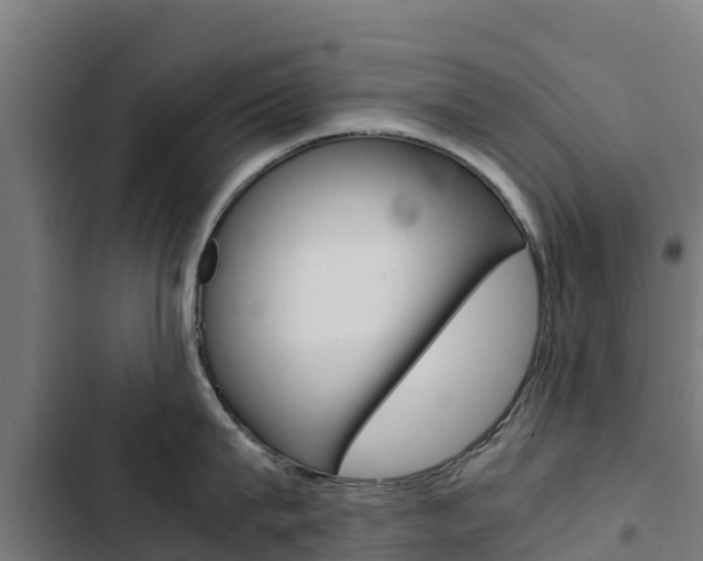 X0000103430815200809121035