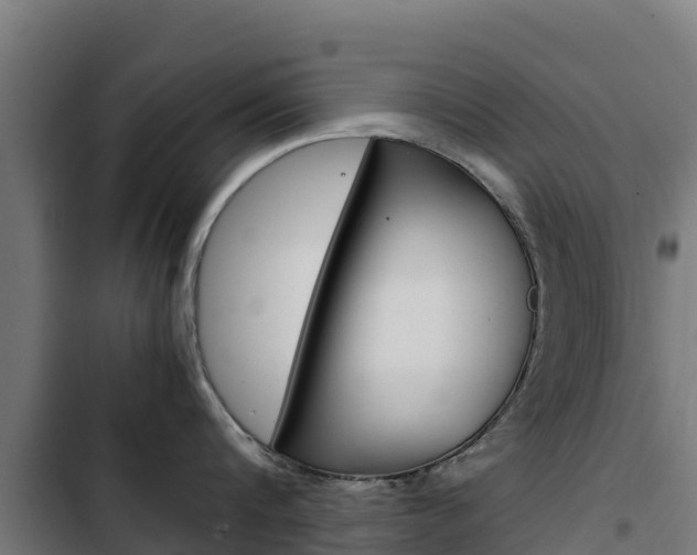 X0000103430816200809121035