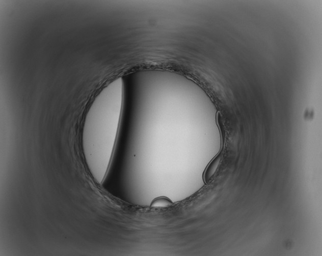 X0000103430817200809121034