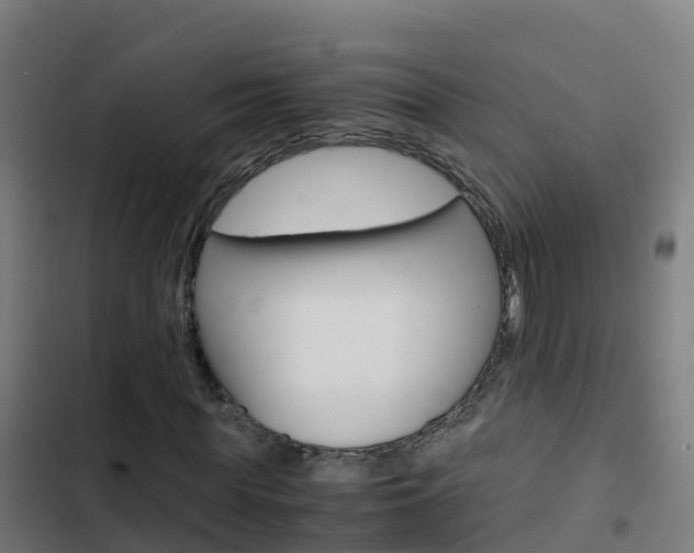 X0000103430819200809121035