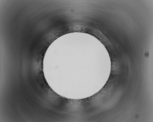 X0000103430820200809121035