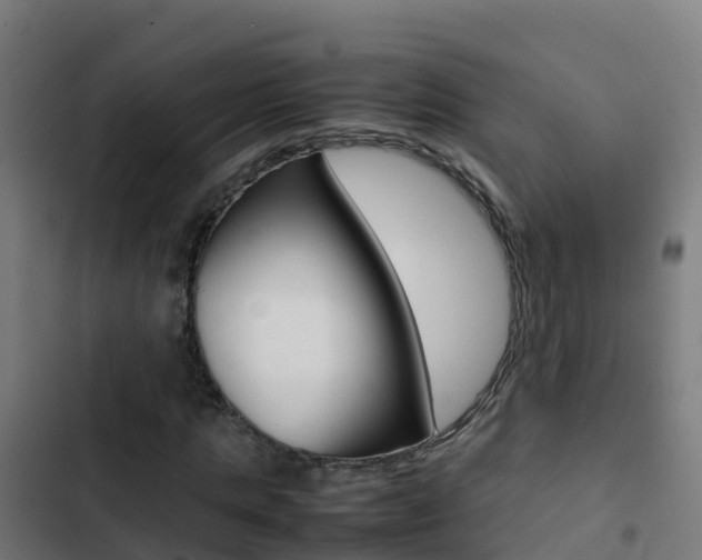 X0000103430821200809121035