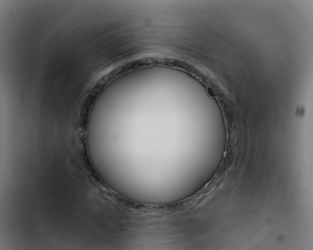 X0000103430822200809121035