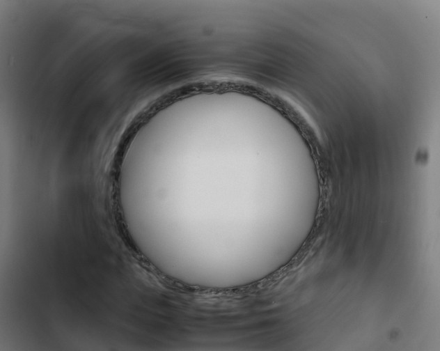 X0000103430823200809121035
