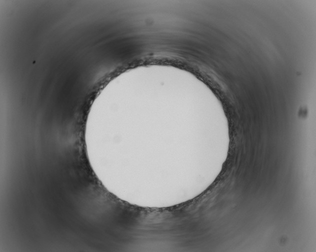 X0000103430824200809121035