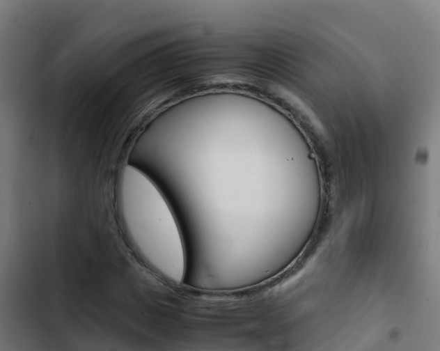 X0000103430825200809121035