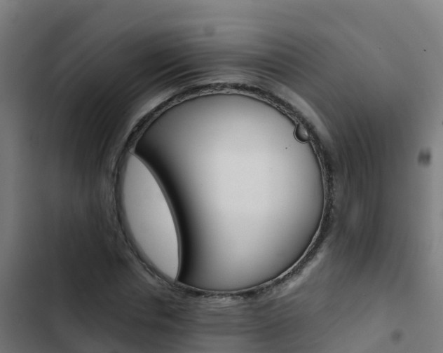 X0000103430826200809121035