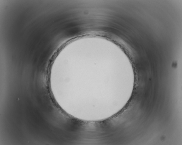X0000103430828200809121035