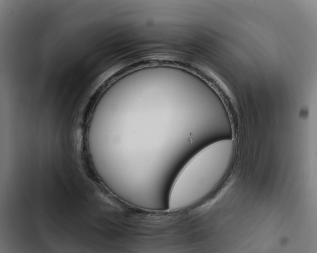X0000103430829200809121035