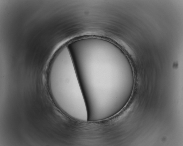 X0000103430830200809121035