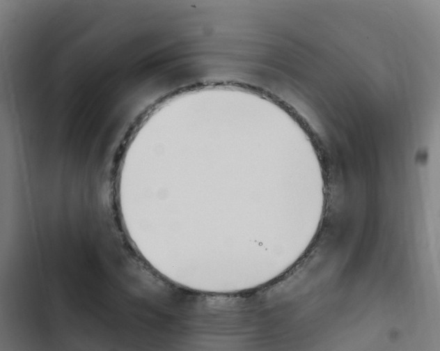 X0000103430832200809121035