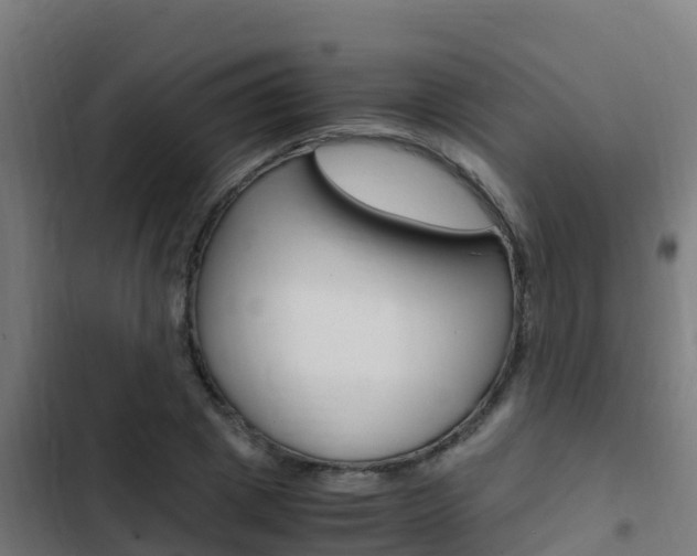 X0000103430833200809121035