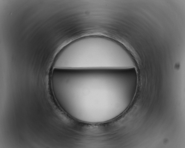 X0000103430834200809121035
