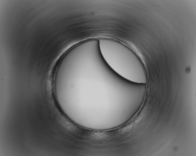 X0000103430835200809121035