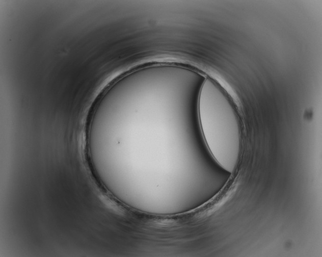 X0000103430837200809121035