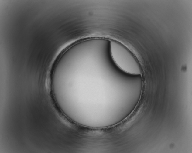 X0000103430838200809121035