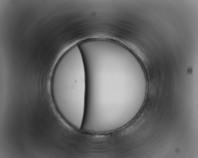X0000103430839200809121035
