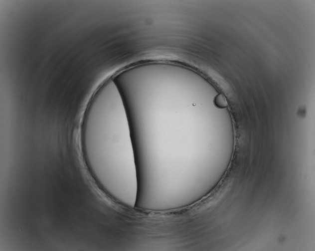 X0000103430840200809121035