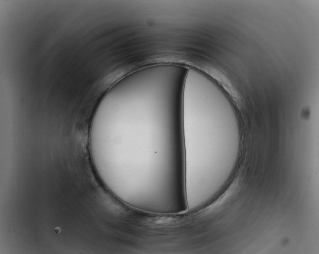 X0000103430841200809121035