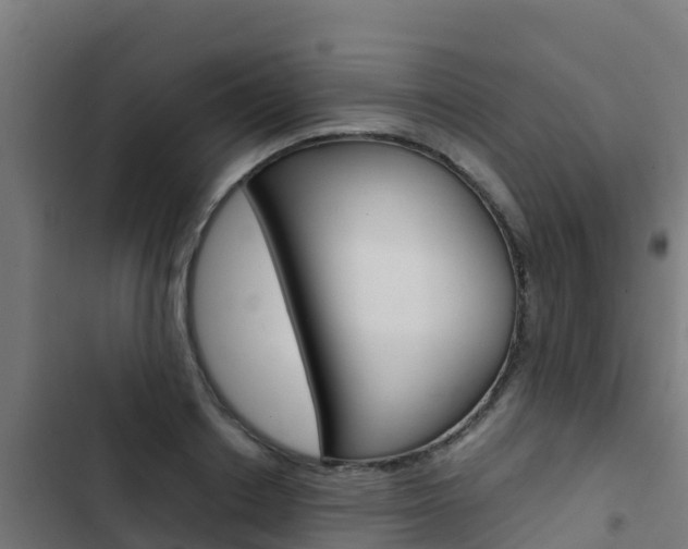 X0000103430842200809121035