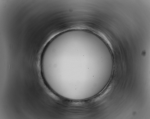 X0000103430843200809121035