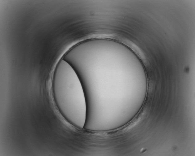 X0000103430844200809121035