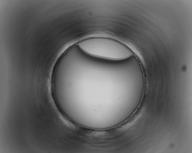 X0000103430845200809121035