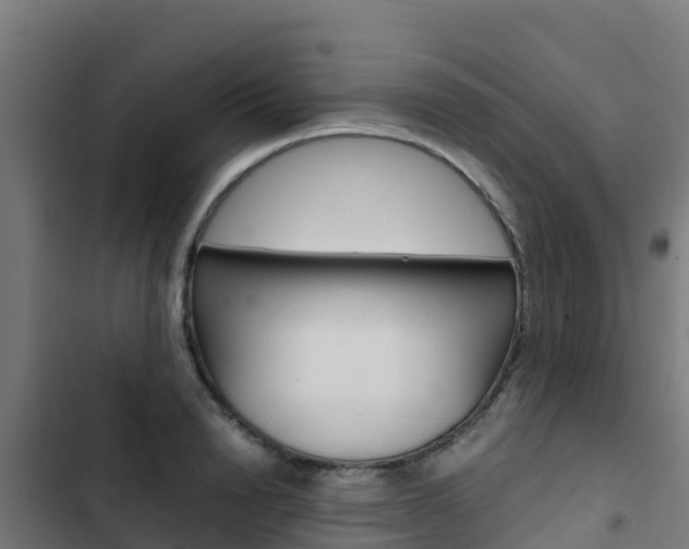 X0000103430846200809121035