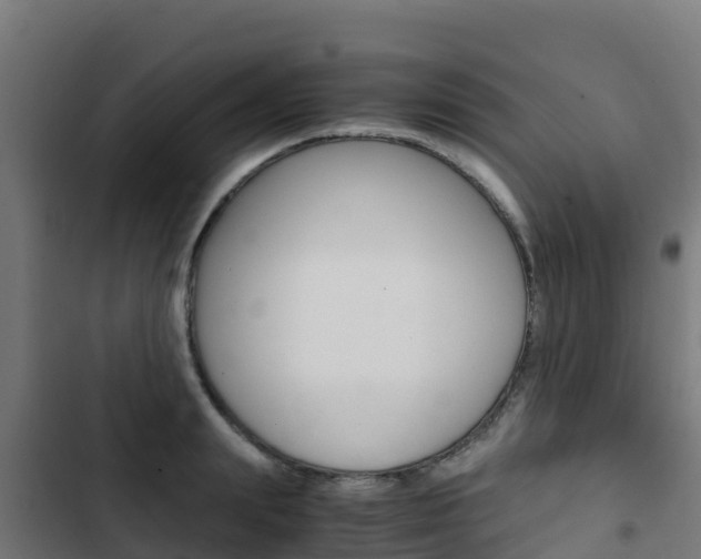 X0000103430847200809121035