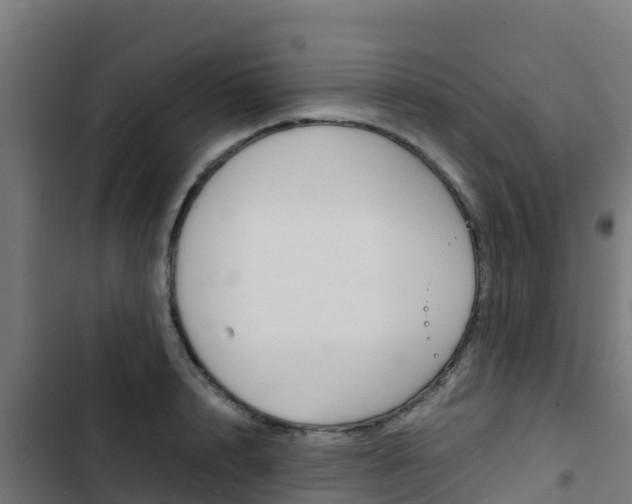 X0000103430848200809121035