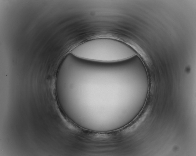 X0000103430849200809121035