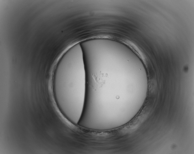 X0000103430851200809121035