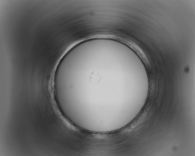 X0000103430852200809121035