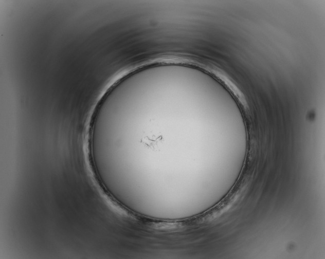 X0000103430853200809121035