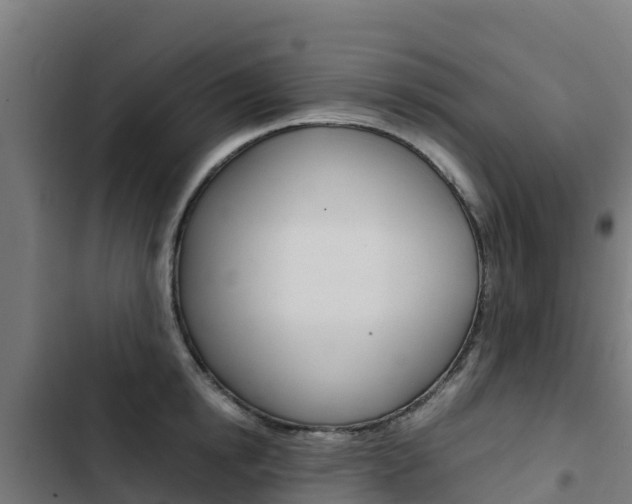 X0000103430854200809121035
