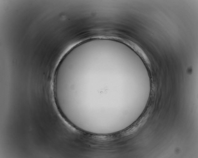 X0000103430855200809121035