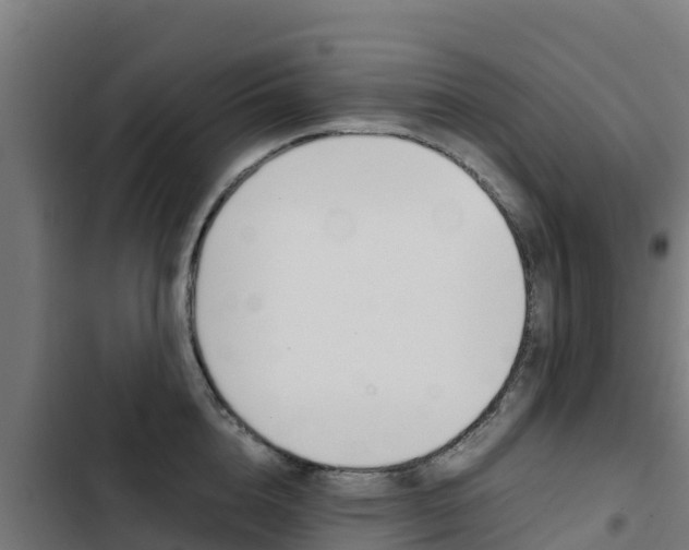 X0000103430856200809121035