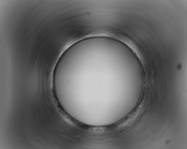 X0000103430858200809121035
