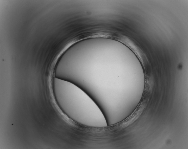 X0000103430859200809121035