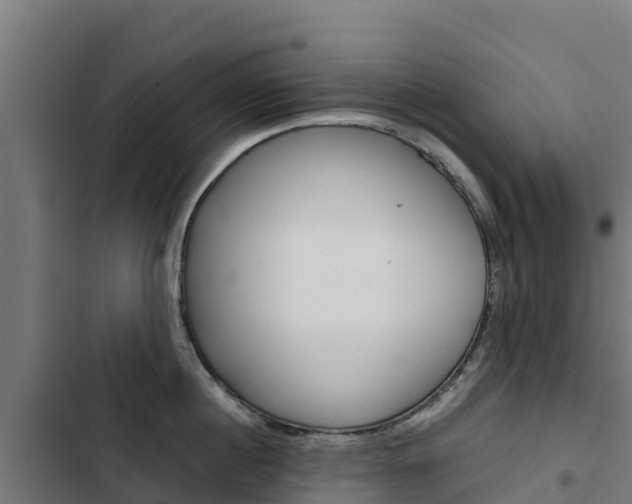 X0000103430860200809121035