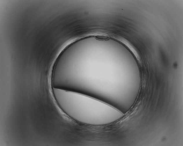 X0000103430861200809121035