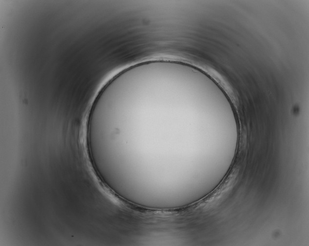 X0000103430862200809121035