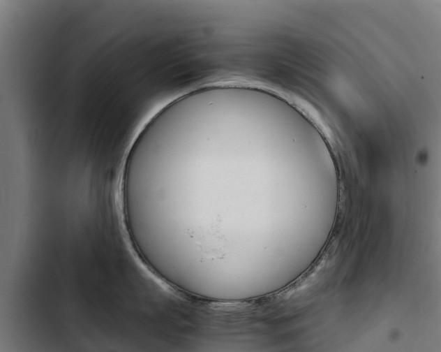 X0000103430863200809121035